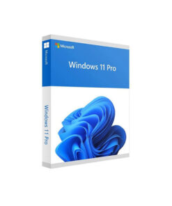 Phần mềm Microsoft Windows Home 11 64Bit KW9-00632