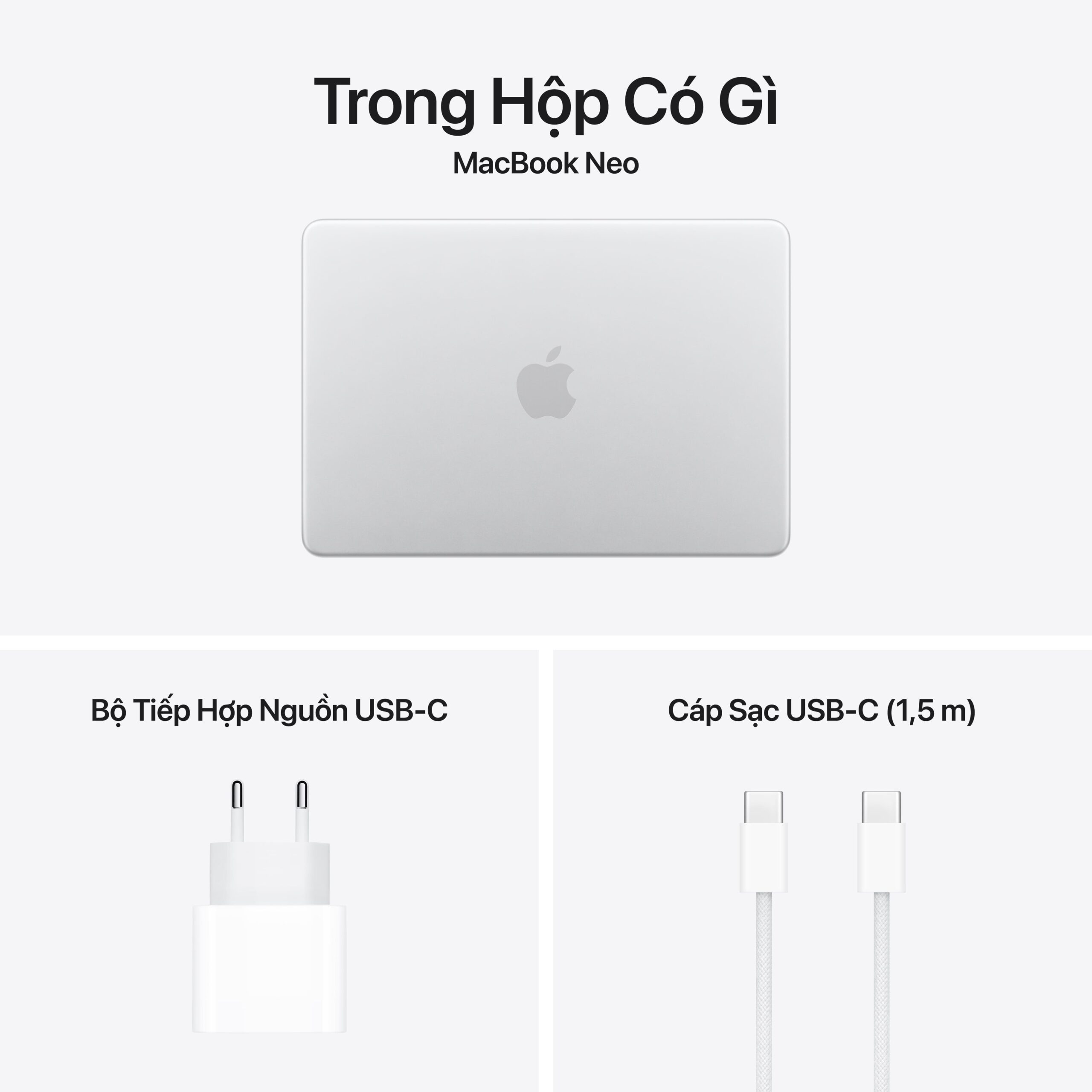 Laptop Apple Macbook Neo A18 Pro (6 Core CPU/ 5 core GPU/ 8GB/ 256GB SSD/ 13Inch/ Silver) - Ảnh 4